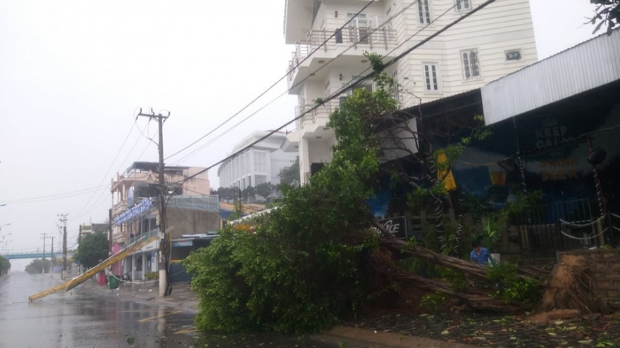 Khánh Hoà, Phú Yên mưa lớn gió giật mạnh, nhiều nơi mất điện